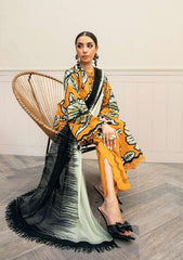M.Basic Eid 02-A