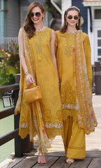 Noor Eid D3