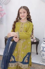 Shanzey Roshni Embroidered Organza Stitched 3 Piece Suit - SHK-5805 - SHZ26RSN - Lime Green with Teal Blue - Girls Formal Collection