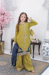 Shanzey Roshni Embroidered Organza Stitched 3 Piece Suit - SHK-5805 - SHZ26RSN - Lime Green with Teal Blue - Girls Formal Collection