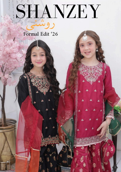 Shanzey Roshni Embroidered Organza Stitched